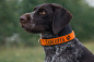 Preview: Signalhalsband aus Biothane Personalisiertes Sicherheitshalsband Arbeitshalsband Jagdhunde