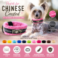 Preview: Hundehalsband für Chinese Crested – Rundum gepolstert mit Wellness-Fleece