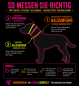 Preview: Biothane® Hundehalsband mit Softshell-Polsterung – personalisiert mit Wunschtext