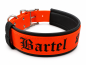 Preview: Signalhalsband aus Biothane Personalisiertes Sicherheitshalsband Arbeitshalsband Jagdhunde