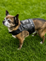 Preview: Rockerkutte / Lederjacke "Born to Be Wild" - Maßgeschneidertes Hundegeschirr aus Kunstleder