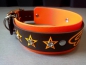 Preview: Personalisiertes Biothane Hundehalsband mit Strassnieten orange