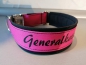 Preview: Wunschtext Hundehalsband personalisiert schwarz/ pink mit Polsterung