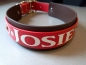 Preview: Personalisiertes Biothane Hundehalsband rot