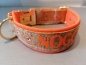 Preview: Kork Hundehalsband mit Wunschtext personalisiert