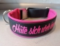 Preview: Biothane Hundehalsband mit Polsterung