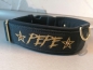 Preview: Hundehalsband mit Wunschtext Namenshalsband schwarz gold