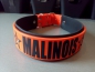 Preview: Personalisiertes Hundesport Halsband Malinois 4cm breit