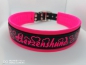 Preview: Biothane Hundehalsband mit Polsterung