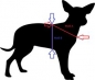 Preview: Führgeschirr Rotzlöffel Hundegeschirr mit Polsterung grün blau