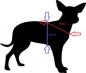 Preview: Tauber Hund Führgeschirr Hundegeschirr mit Polsterung 3,5cm breit schwarz gelb