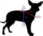 Preview: Führgeschirr Herzenshund blau mit Polsterung