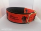Preview: Hundehalsband Halsband Jagdhund Deutsch Drahthaar 5cm breit mit Polsterung