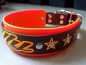 Preview: Personalisiertes Biothane Hundehalsband mit Strassnieten orange