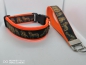Mobile Preview: Rauhaardackel Dackel Teckel  Halsband mit Polsterung 3,5cm breit