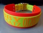 Preview: Personalisiertes Biothane Hundehalsband