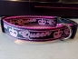 Preview: Queen Hundahalsband schwarz pink