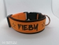 Preview: Personalisiertes Hundehalsband orange/braun