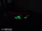 Preview: Helloween Hundehalsband glow in the dark