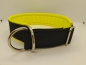 Preview: Personalisiertes Hundehalsband schwarz/ gelb mit Softshellpolsterung