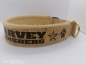 Preview: Kork Halsband Hundehalsband personalisiert mit Polsterung