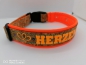 Preview: Kork Hundehalsband mit Wunschtext personalisiert