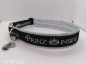 Preview: Hundehalsband Prinz Inside schwarz/silber mit Polsterung