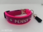 Preview: Hundehalsband personalisiert mit Polsterung Wunschtexthalsband Namenshalsband