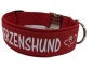 Preview: Hundehalsband rot personalisiert