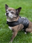 Preview: Rockerkutte / Lederjacke "Born to Be Wild" - Maßgeschneidertes Hundegeschirr aus Kunstleder