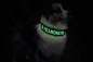 Preview: GlowGuard-Nachtleuchtendes Hundehalsband mit Wunschtext