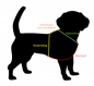Preview: X- Geschirr Hundegeschirr Flecktarn personalisiert mit Polsterung