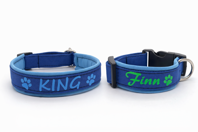 Personalisiertes Hundehalsband mit Namen – robust & gepolstert