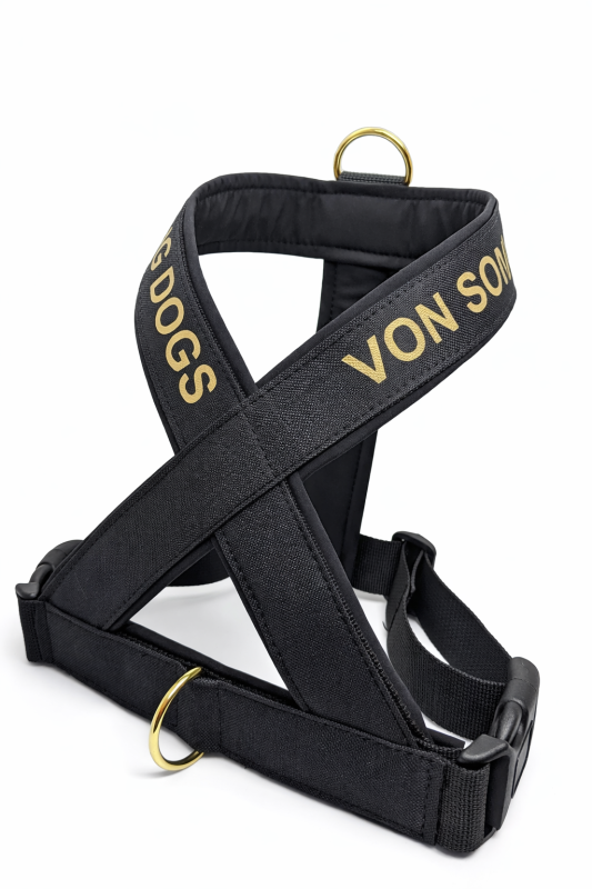 Personalisiertes schwarzes X-Geschirr für Hunde – gepolstert & UV-beständig