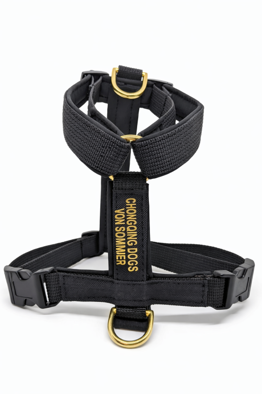 Mitwachsendes Welpengeschirr Y - Geschirr - Schwarz mit Gold / personalisierbar