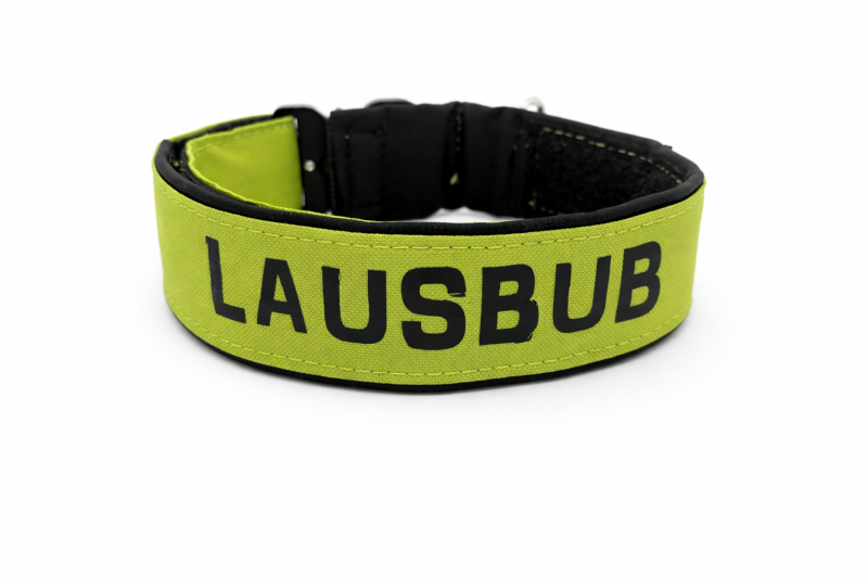 Taktik-Hundehalsband 5cm - gepolstert, extrem robust & personalisierbar