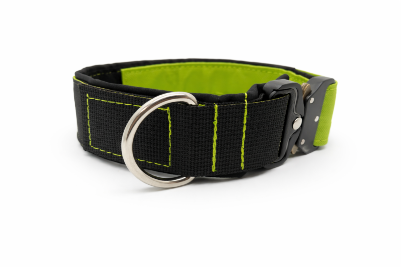 Preview: Taktik-Hundehalsband 5cm - gepolstert, extrem robust & personalisierbar