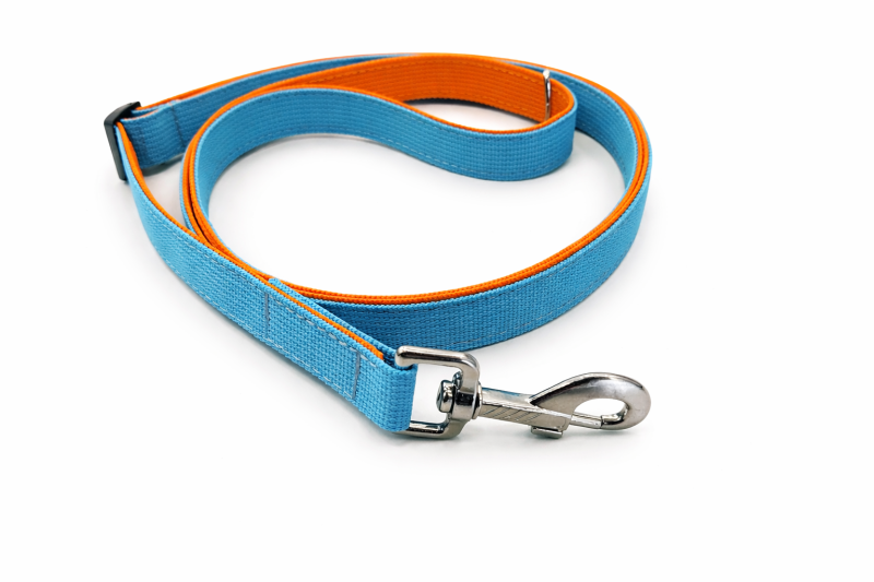 Stufenlos verstellbare Hundeleine 2 m – Türkis & Orange | UV-beständiges Nylon-Gurtband