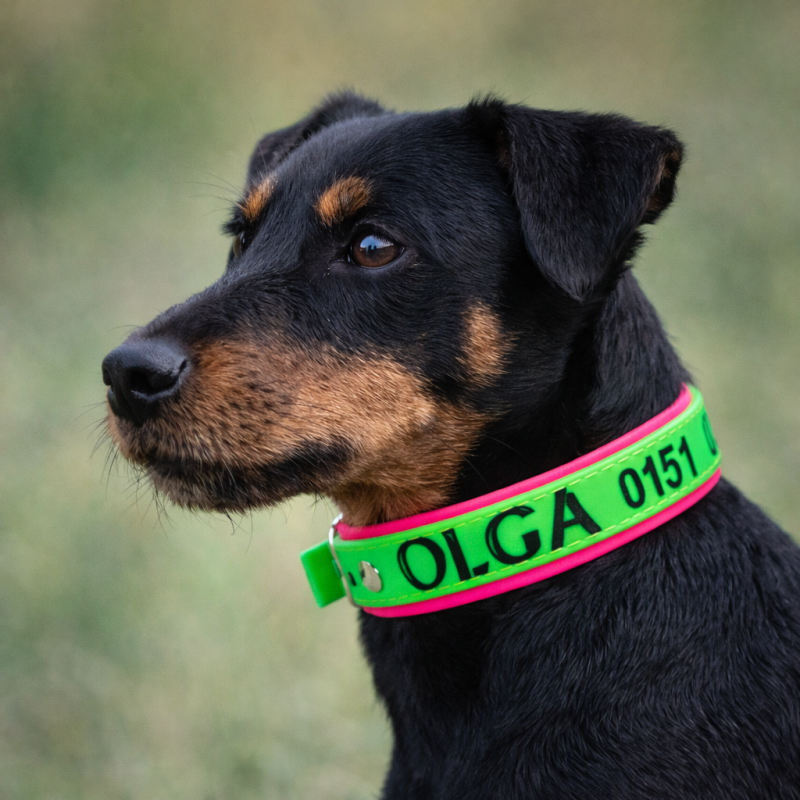 Preview: BioThane Halsband Neon - personalisierbar mit Wunschtext