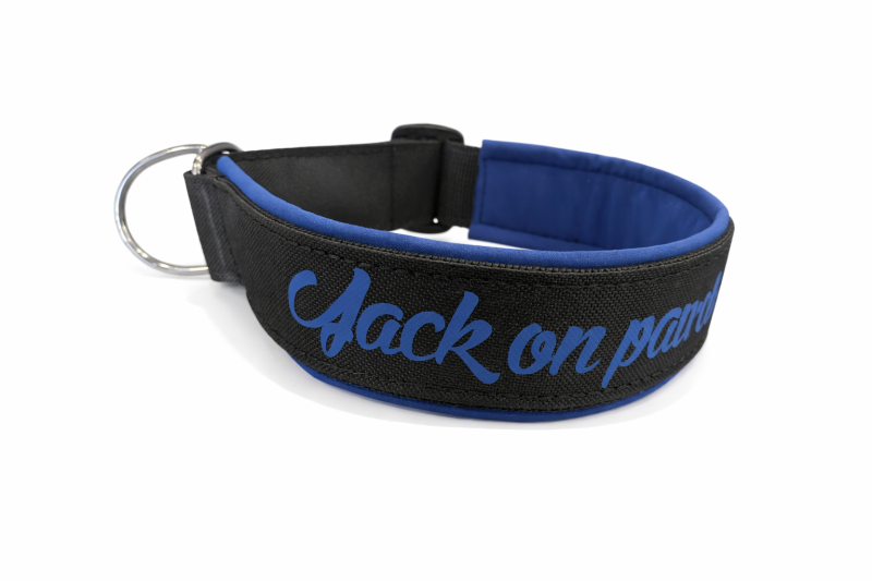 Personalisiertes Hundehalsband Softshell Royalblau – Handgemacht mit Wunschtext