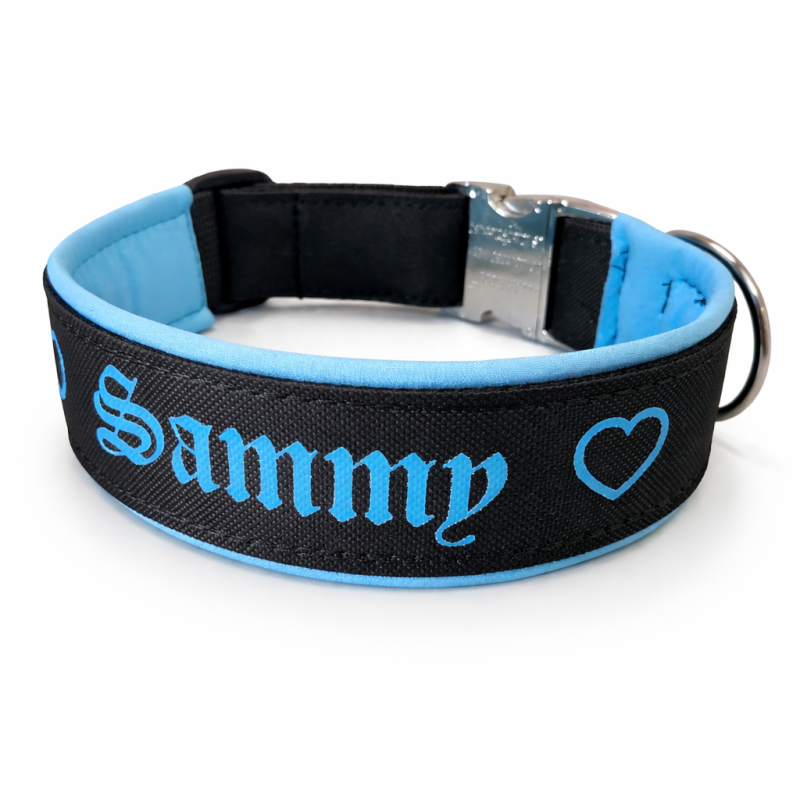 Personalisiertes Hundehalsband - Schwarz/Türkis mit Softshell-Polsterung