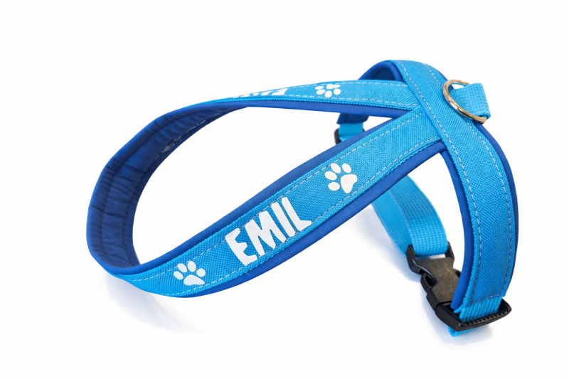 Personalisiertes Führgeschirr Glow in the Dark - gepolstert mit Softshell - Maßanfertigung für kleine Hunde