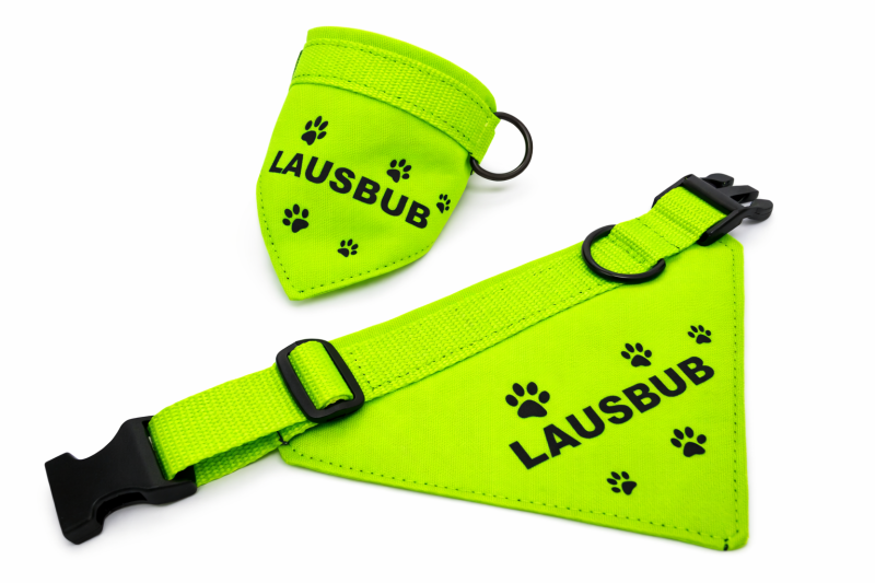 Personalisiertes Hundehalsband mit Halstuch - 2in1 Neongrün / Name wählbar