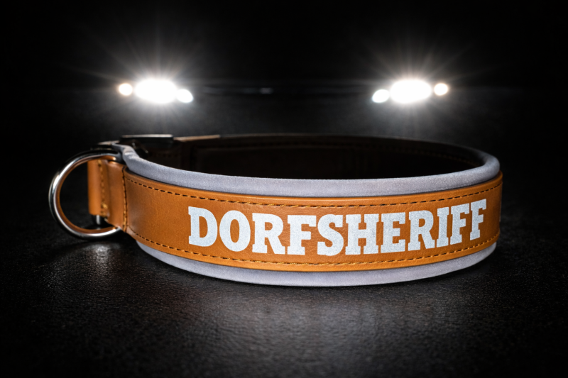 Biothane Hundehalsband - personalisiert mit reflektierender Schrift und Softshellpolsterung