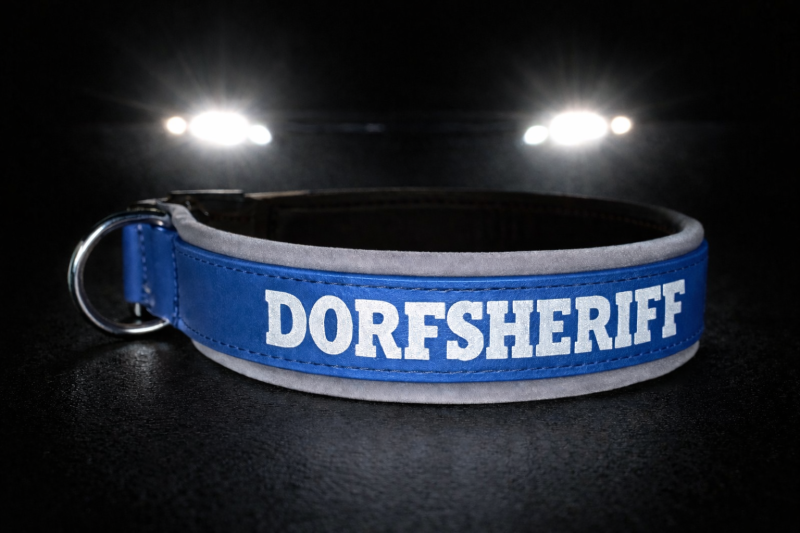 Preview: Biothane Hundehalsband - personalisiert mit reflektierender Schrift und Softshellpolsterung