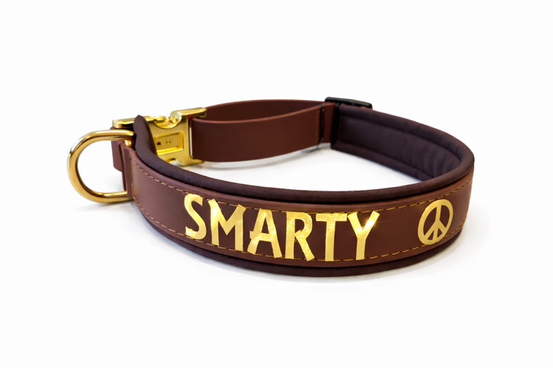 Personalisiertes Biothane Hundehalsband Braun – Wunschtext in Metallic-Gold, 3,5 cm