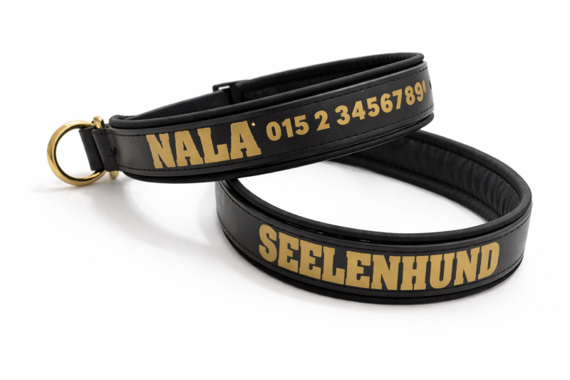 Biothane Halsband Schwarz mit Goldschrift – personalisiert & gepolstert (Softshell)