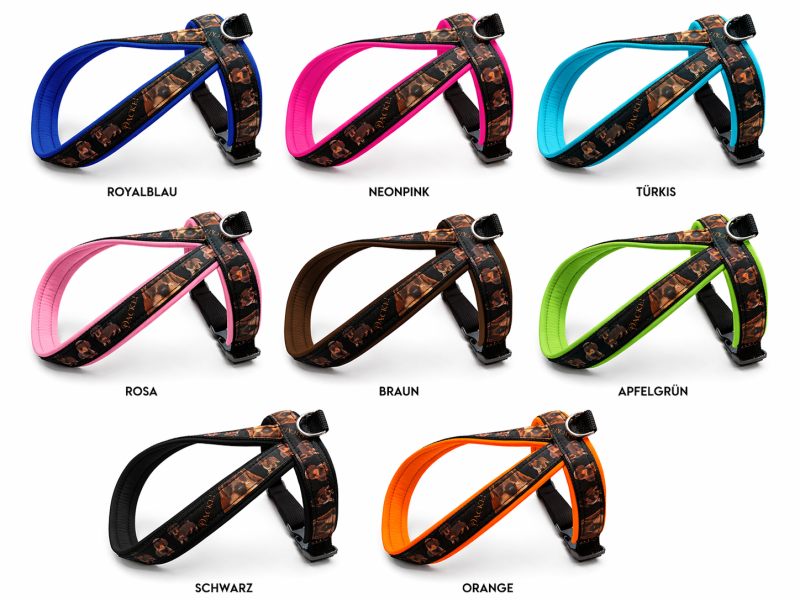 Preview: Handgemachtes Rauhaardackel Führgeschirr nach Maß – gepolstert, verstellbar & individuell