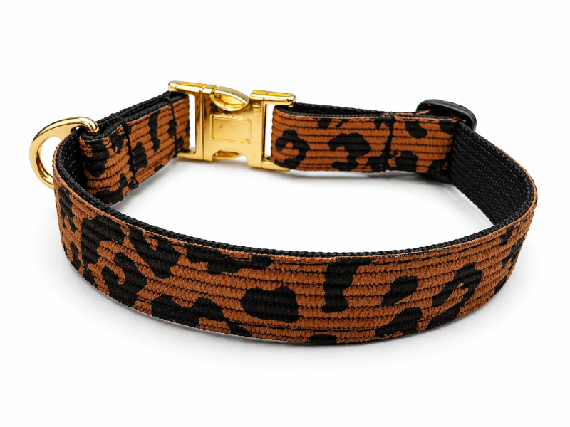 Preview: Welpenhalsband Leo Deluxe – mitwachsend, 2,5 cm breit, mit goldener Schnalle