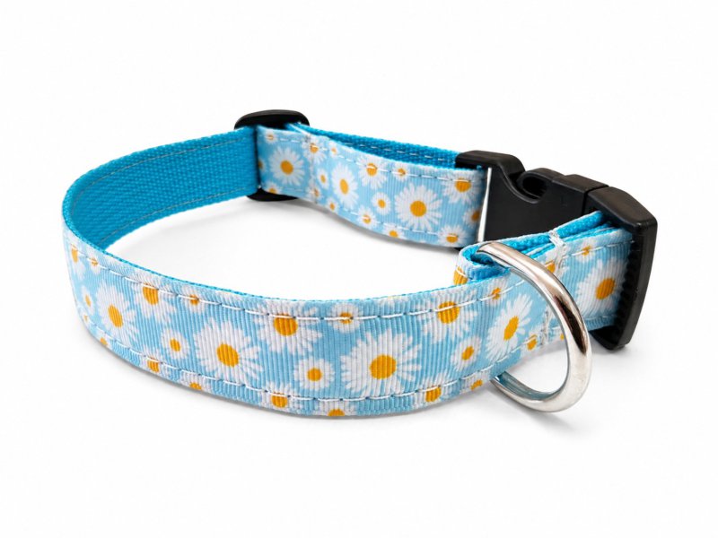 Mitwachsendes Welpenhalsband „Gänseblümchen Türkis“ – UV-beständiges Hundehalsband mit Acetal-Klickverschluss